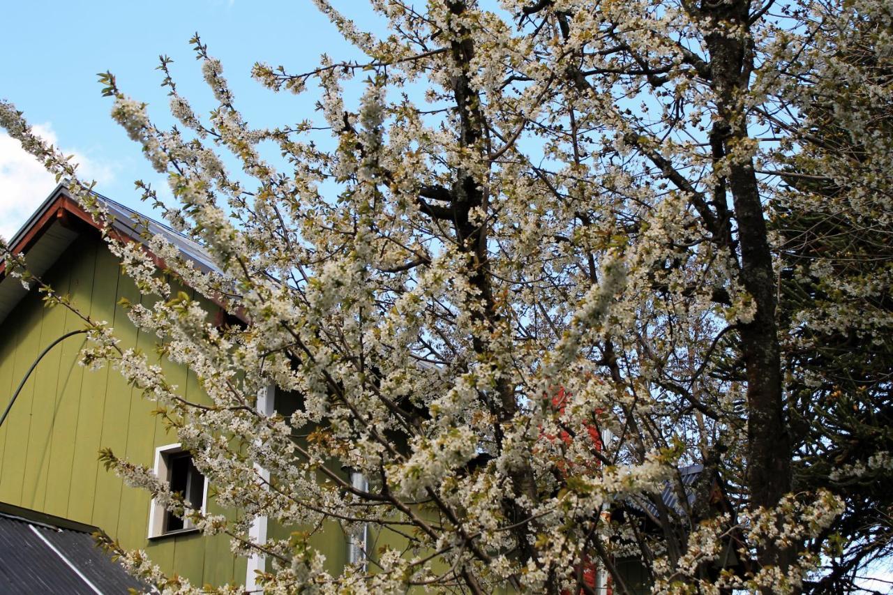 San Martín de los Andes Alhue Patagonia Hostel מראה חיצוני תמונה